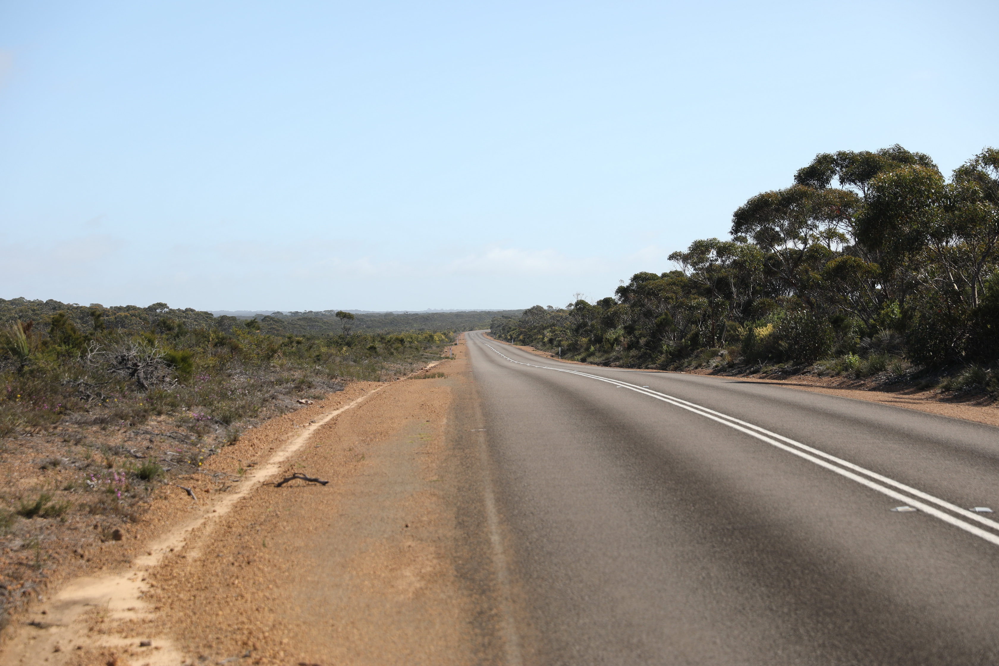 2019 10 02 09 59 12 Canon EOS 5D Mark IV 0005